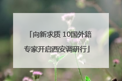 向新求质 10国外籍专家开启西安调研行