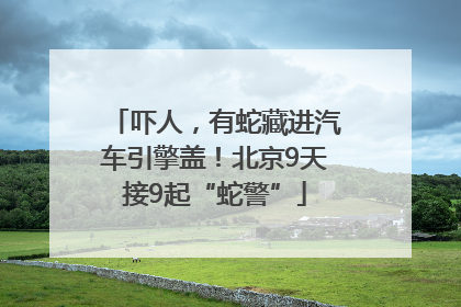 吓人，有蛇藏进汽车引擎盖！北京9天接9起“蛇警”