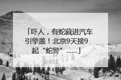 吓人，有蛇藏进汽车引擎盖！北京9天接9起“蛇警”……
