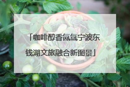 咖啡醇香氤氲宁波东钱湖文旅融合新图景