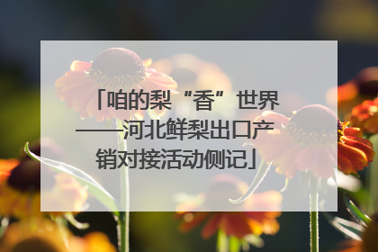 咱的梨“香”世界——河北鲜梨出口产销对接活动侧记