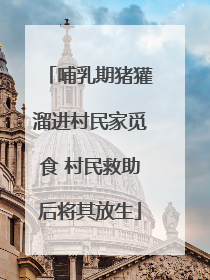 哺乳期猪獾溜进村民家觅食 村民救助后将其放生