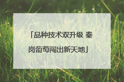 品种技术双升级 秦岗葡萄闯出新天地