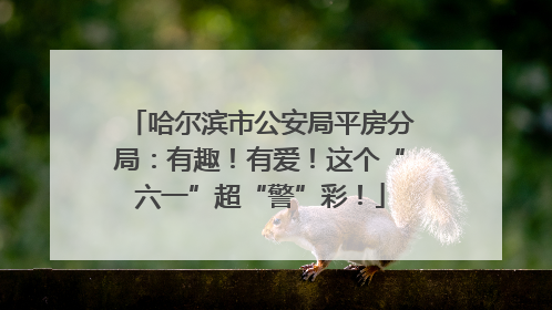 哈尔滨市公安局平房分局：有趣！有爱！这个“六一”超“警”彩！