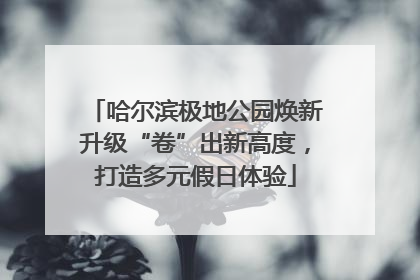 哈尔滨极地公园焕新升级“卷”出新高度，打造多元假日体验