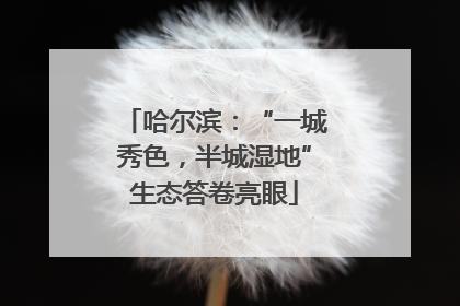 哈尔滨：“一城秀色，半城湿地”生态答卷亮眼