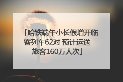 哈铁端午小长假增开临客列车62对 预计运送旅客160万人次