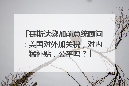 哥斯达黎加前总统顾问：美国对外加关税，对内猛补贴，公平吗？