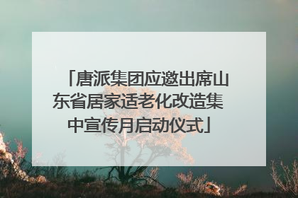 唐派集团应邀出席山东省居家适老化改造集中宣传月启动仪式