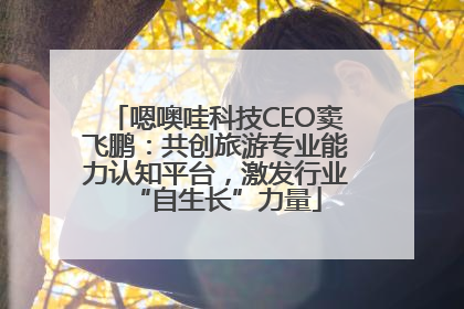 嗯噢哇科技CEO窦飞鹏：共创旅游专业能力认知平台，激发行业“自生长”力量
