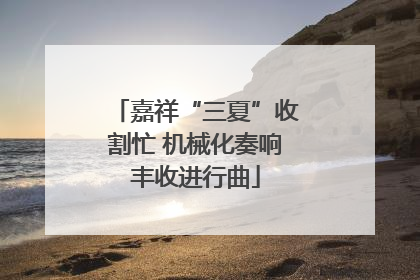 嘉祥“三夏”收割忙 机械化奏响丰收进行曲