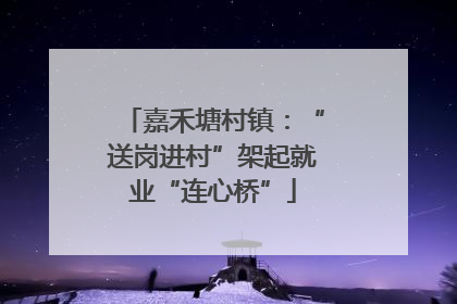 嘉禾塘村镇：“送岗进村”架起就业“连心桥”