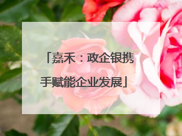 嘉禾：政企银携手赋能企业发展