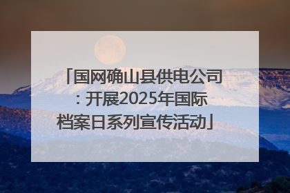 国网确山县供电公司：开展2025年国际档案日系列宣传活动