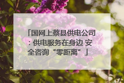 国网上蔡县供电公司：供电服务在身边 安全咨询“零距离”