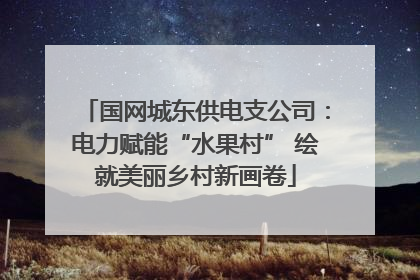 国网城东供电支公司：电力赋能“水果村” 绘就美丽乡村新画卷