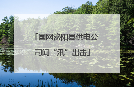 国网泌阳县供电公司闻“汛”出击