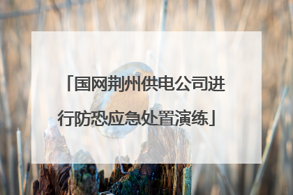国网荆州供电公司进行防恐应急处置演练