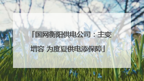 国网衡阳供电公司：主变增容 为度夏供电添保障