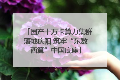 国产十万卡算力集群落地庆阳 筑牢“东数西算”中国底座