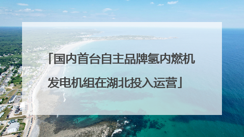 国内首台自主品牌氢内燃机发电机组在湖北投入运营