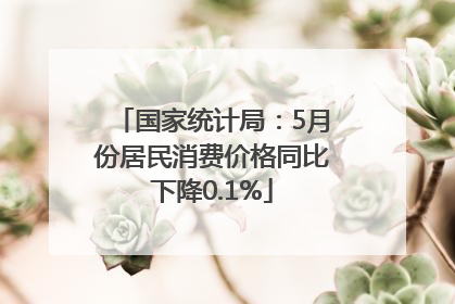 国家统计局：5月份居民消费价格同比下降0.1%