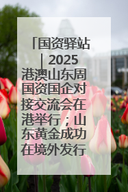国资驿站｜2025港澳山东周国资国企对接交流会在港举行；山东黄金成功在境外发行3亿美元绿色债券