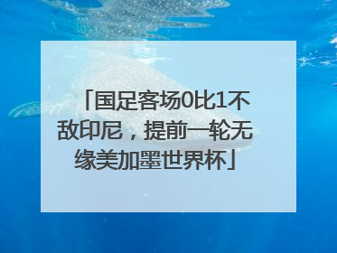 国足客场0比1不敌印尼，提前一轮无缘美加墨世界杯