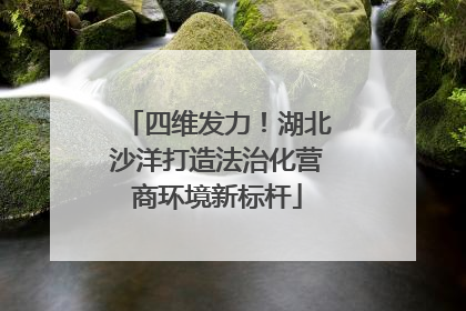 四维发力！湖北沙洋打造法治化营商环境新标杆
