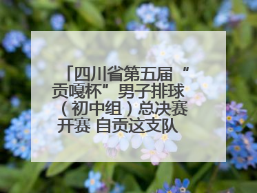 四川省第五届“贡嘎杯”男子排球（初中组）总决赛开赛 自贡这支队伍打进半决赛