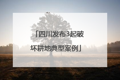 四川发布3起破坏耕地典型案例