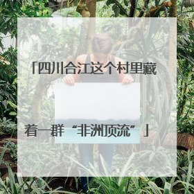 四川合江这个村里藏着一群“非洲顶流”