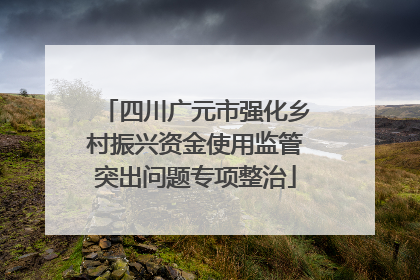 四川广元市强化乡村振兴资金使用监管突出问题专项整治