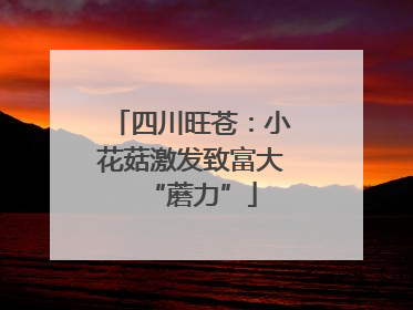 四川旺苍：小花菇激发致富大“蘑力”