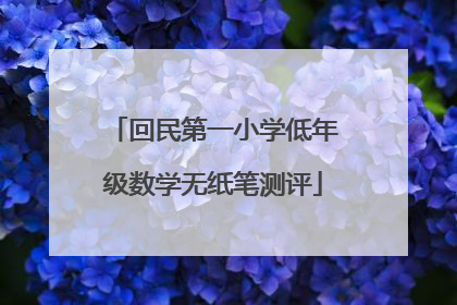 回民第一小学低年级数学无纸笔测评