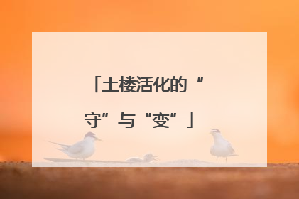土楼活化的“守”与“变”