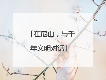 在尼山，与千年文明对话