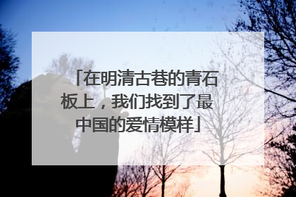 在明清古巷的青石板上，我们找到了最中国的爱情模样