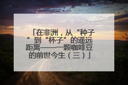 在非洲，从“种子”到“杯子”的遥远距离——一颗咖啡豆的前世今生（三）