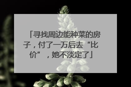 寻找周边能种菜的房子，付了一万后去“比价”，她不淡定了