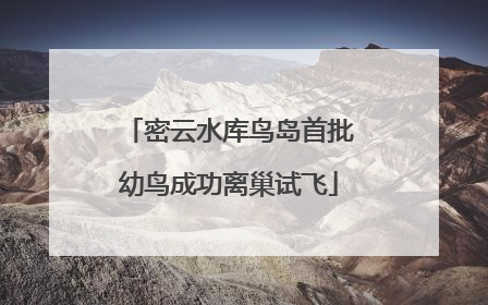 密云水库鸟岛首批幼鸟成功离巢试飞