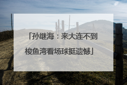 孙继海：来大连不到梭鱼湾看场球挺遗憾