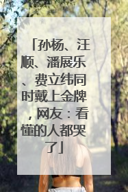 孙杨、汪顺、潘展乐、费立纬同时戴上金牌，网友：看懂的人都哭了