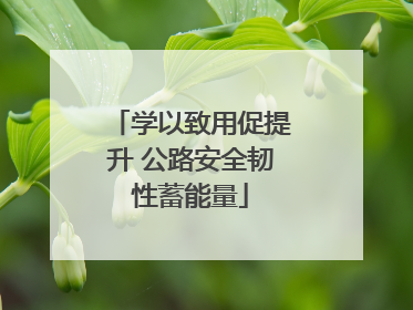 学以致用促提升 公路安全韧性蓄能量