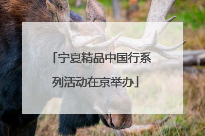 宁夏精品中国行系列活动在京举办