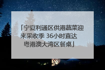 宁夏利通区供港蔬菜迎来采收季 36小时直达粤港澳大湾区餐桌