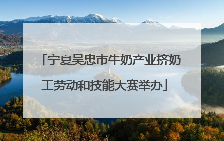 宁夏吴忠市牛奶产业挤奶工劳动和技能大赛举办