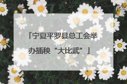 宁夏平罗县总工会举办插秧“大比武”