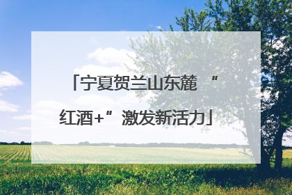 宁夏贺兰山东麓 “红酒+”激发新活力