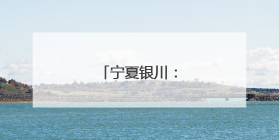宁夏银川：夏日采茶忙